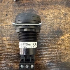 Auer Alarm Panel Mount Buzzer 12-24V AC/DC ~65dB (A) IP65