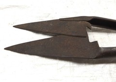 Vintage Western Shear Co. Antique Wool Sheep Goat Metal Shears Scissors 12″ Long