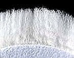 Lake Country 75-323 Electrified 3″ Sheep Wool Cutting Pads, Qty. 12