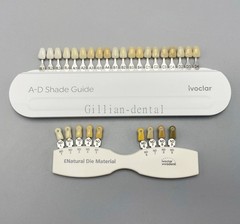 Dental IPS Natural Die Material Shade Guide Ivoclar Vivadent ND 1-9 Abutment