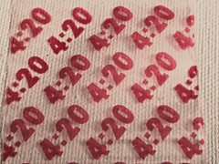 700 SMALL BAGGIES 2″ x 2″ 2020 MINI RESEALABLE POLY DESIGNER BAGS LION