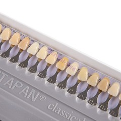 Vita Classical Shade Guide Dental Materials A1-D4 16 Colors Teeth Whitening USA