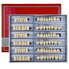 168Pcs Dental Acrylic Resin Denture A3#23 Shade Full Upper Lower False Teeth USA