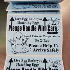 200 Large 4″ x 3″ Handle with care Hatching Eggs Mailing Shipping Label sticker