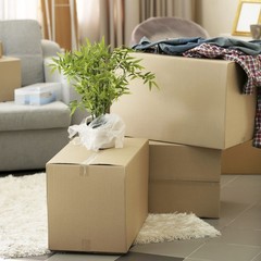 Shipping Boxes 30 x 8 x 8 Corrugated Kraft ECT 32 (Pack of 25)