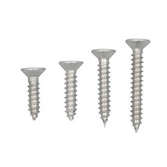 550Piece 304 Stainless Steel Wood Screws Assortment Kit Phillips Flat Head Sheet