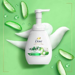 Dove Foaming Hand Wash 4 Count 10.1 Fl Oz (Pack of 4), Aloe and Eucalyptus