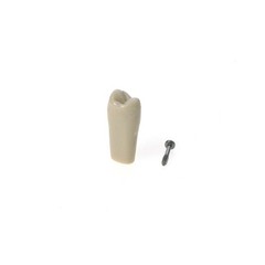 US Columbia Dentoform 860 Type Dental Typodont Model 32pcs Removable Teeth