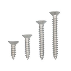 550Piece 304 Stainless Steel Wood Screws Assortment Kit Phillips Flat Head Sheet