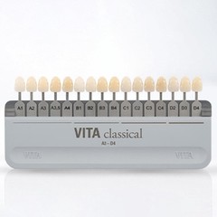 NEW VITA Classical Shade Guide Original Pack Free shipping