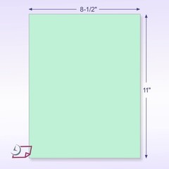 – Pack of 500 Sheets 8-1/2″ x 11″ Letter Size CFB NCR (Carbon-Less) Paper, fo…