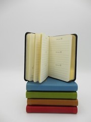 BIRTHDAYS Mini Datebook Notebook Leather Bound Soft Cover Perpetual Calendar