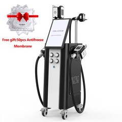 4 Handles Freezing Double Chin Removal Cool Therapy Body Massager Salon Machine