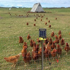 Electric Fence Controller Charger Kits For Animal Cattle Poultry Supplies