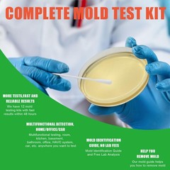 Mold Test Kit for Home Within 12 Individual Tests,DIY Detector at Home, Surf…