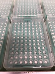(960/Pk) OXFORD Accutip 200uL LTS Low Retention Filter Pipet Tips 96×10 LTR-200