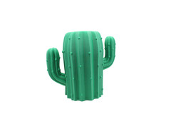Cactus Pencil Holder / Container – Over 40 Color Choices