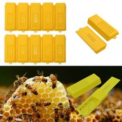 20pcs / Set Professional Queen Bee Butler Cage Catcher Trap Case Beekeeping Tool