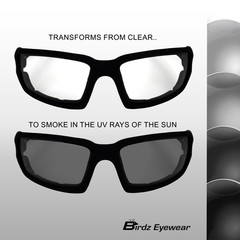 Birdz Eyewear Padded Osprey 24 Photochromic Motorcycle Sunglasses Clear To Smoke