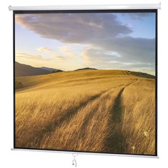 120” Projector Screen Diagonal TV Screen Manual Matte HD Movie Theater 1:1