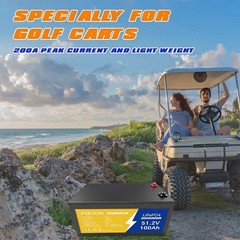 48V 100Ah LiFePO4 Lithium Battery 15000 Deep Cycle BMS for Solar RV Off-grid RV