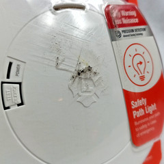 First Alert 10-Year Path Light Photoelectric Smoke Alarm Battery NIOB