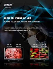 Wireless Surgical Dental ENT Headlight Powerful 10W LED with Magnifying Loupes