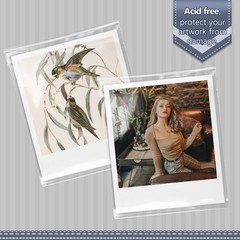 Golden State Art, Pack of 100, Acid-Free Crystal Clear Sleeves 6×8,