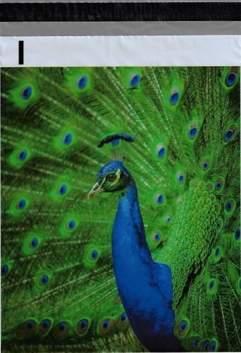 200 Bags 100 10×13 Blue Peacock, 100 10×13 Lets Go Shopping Designer Poly Mailer