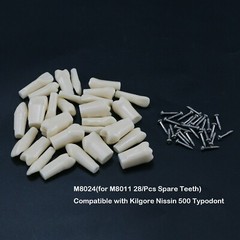 Dental Typodont Replacement Screw-in Teeth Model fit Kilgore NISSIN 200/500 Type