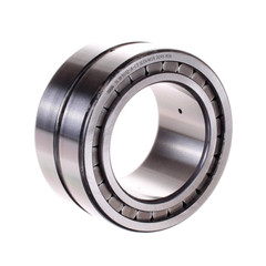 SL185012-A-C3 INA/Schaeffler Technologies 60 x 95 x 46 mm CYL. ROLL. DOUBLE ROW