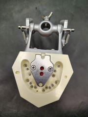 Kilgore Nissin Dental Model Typodont P15DP-TR.56C.1-QF Periodontal Hygiene Board