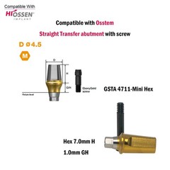 Dental Titanium Straight Abutment Ti Cemented Abutment Fits to Osstem Hiossen TS