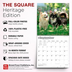 Chihuahuas | 2027 12×24″ (Hanging) Monthly Wall Calendar | Plastic-Free