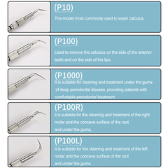 Inserts IF10 IF100 IF1000 P10 P100 Scaler Tip Dental Insert 30K/25K Tips