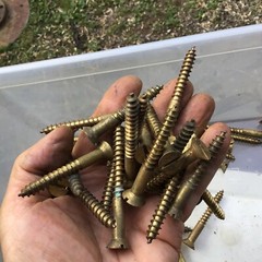 4 Pounds Brass Large Counter Song Brass Screws # 14+ ?