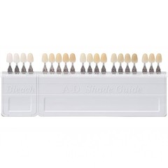 USA Dental Teeth Shade Guide Porcelain 20 Color A-D Tooth 4 Bleach Vivadent