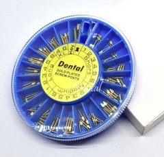 120pcs Dental Screw Post Gold/Silver Plated Titanium Kit Conical Root Canal Pins