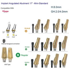Hiossen ET 17° degree implant Angulated Ti Anatomic Abutment Dental Mini/Regular