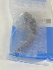 Y53: FLexicare Pro Blade 040-711U Exp. 10-2026 to 02-2027