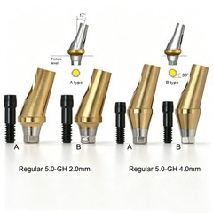 Regular 17°Angulated Angled Anatomic Abutment Osstem Hiossen Implants Ø4.5/5.0mm