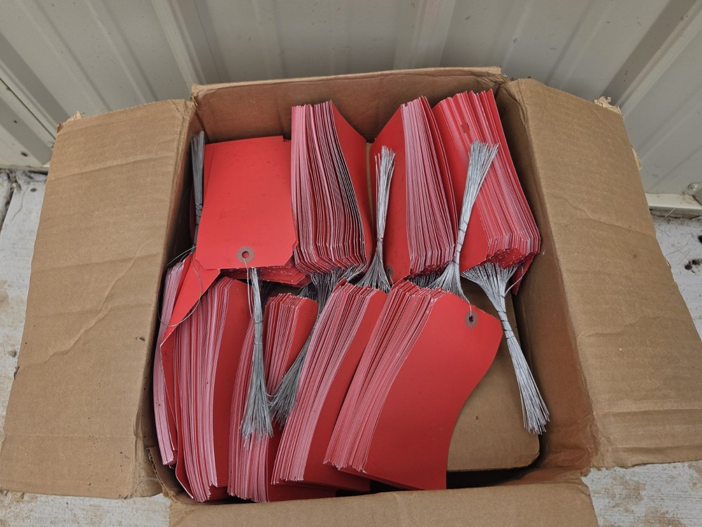 1000 pcs of Size 8 Red Cardstock Blank Hang Tag Tags with Wire 6-1/4″x3-1/8″