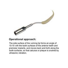 Ultrasonic Dental Scaler Implant Tips Cleaning Orthodontic Fit for SATELEC / DTE