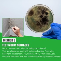 Mold Test Kit for Home Within 12 Individual Tests,DIY Detector at Home, Surf…