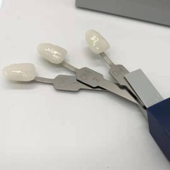 VITA Dental Toothguide 3D Master Resin 29 Colors With Bleached Shade Guide