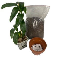 UOFFICE Polystyrene Packing Peanuts 14 Cuft. Industrial Packaging Shipping Void