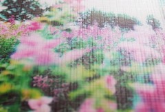 Cold Laminating Film Self-Adhesive Lamination Vinyl Roll Laminating Roll Film fo