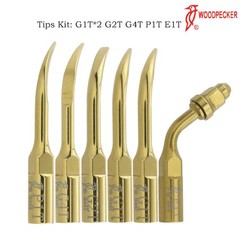Woodpecker Dental Ultrasonic Scaler LED Handpiece DTE UDS Tips G1 P1 GD1 PD1