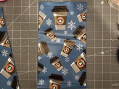 100 6×9 Mocha Peppermint Poly Mailer Bags Fast Shipping