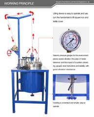 Lab 10L-100L High Pressure Hydrothermal Autoclave Reactor with Lifting Device
